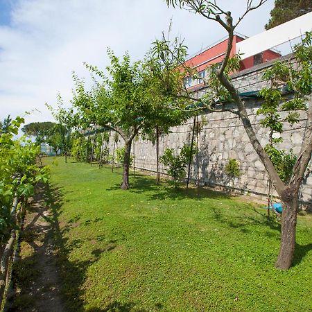 Villa Mambrini Półwysep Sorrentyński Zewnętrze zdjęcie