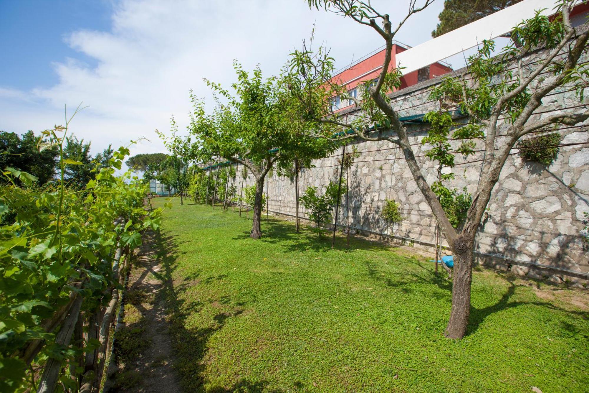 Villa Mambrini Półwysep Sorrentyński Zewnętrze zdjęcie
